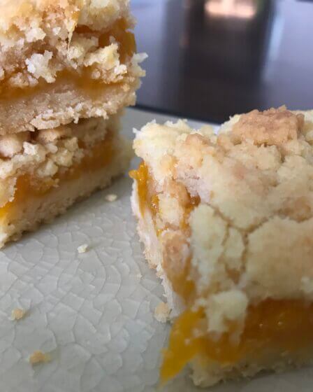 mango bars